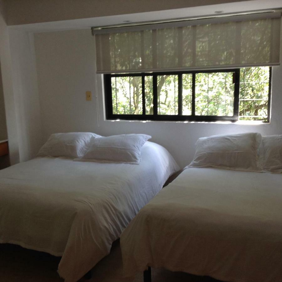 מקסיקו סיטי Lovely Apartment Ahuehuetes מראה חיצוני תמונה